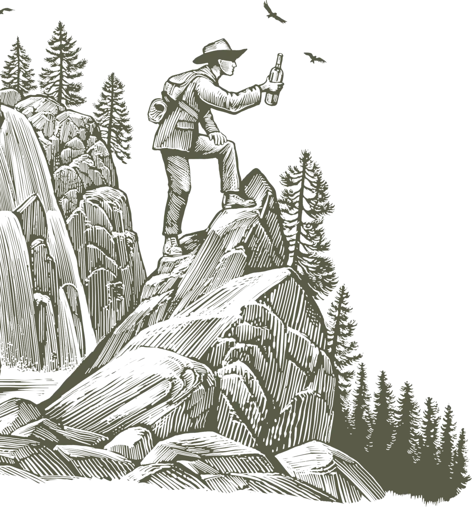 where to find the best wine in gatlinburg